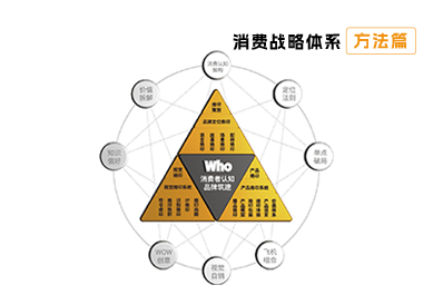 【消费战略方法论】消费烙印的策略模型-上海塔望