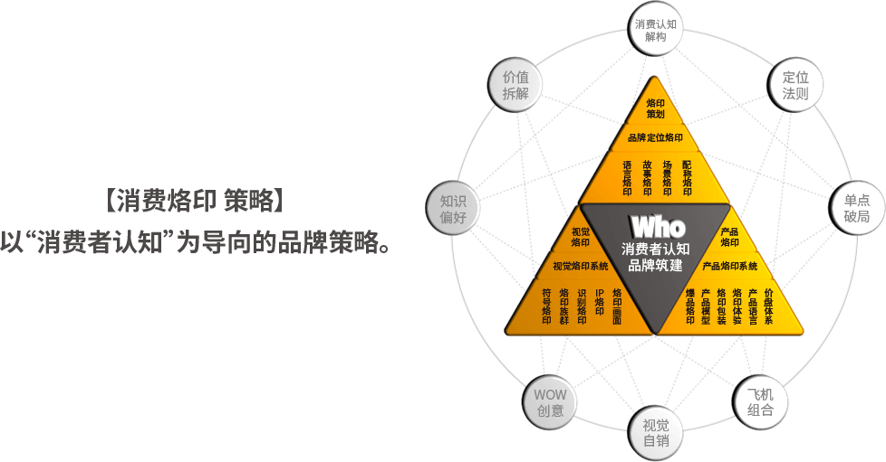 上海塔望品牌管理