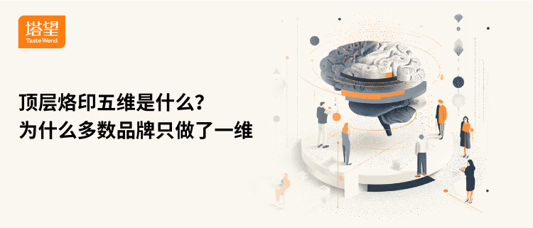 1775010050489400.jpg T33 (2).jpg