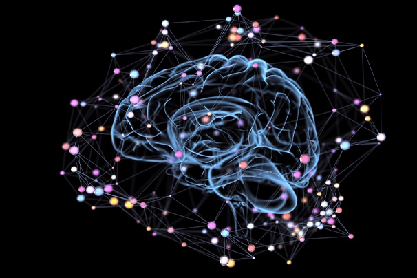 为什么品牌一定要有“烙印资产”？因为消费者不会替你记忆-上海塔望