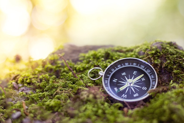 什么样的企业已经到了必须做消费战略全案 / 年度陪跑的时候？-上海塔望